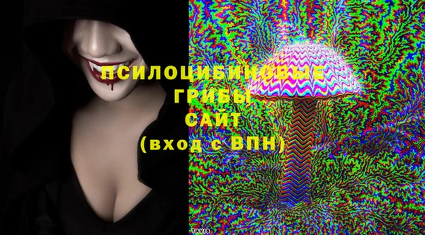 прущие грибы Михайловка
