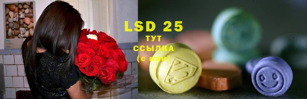 прущие грибы Михайловка