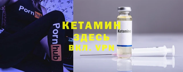 прущие грибы Михайловка