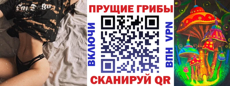 blacksprut маркетплейс  Благодарный  Псилоцибиновые грибы прущие грибы 