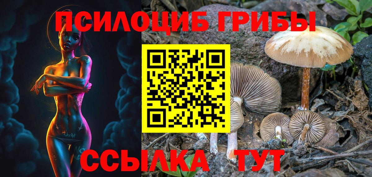 цены   Благодарный  Галлюциногенные грибы MAGIC MUSHROOMS 