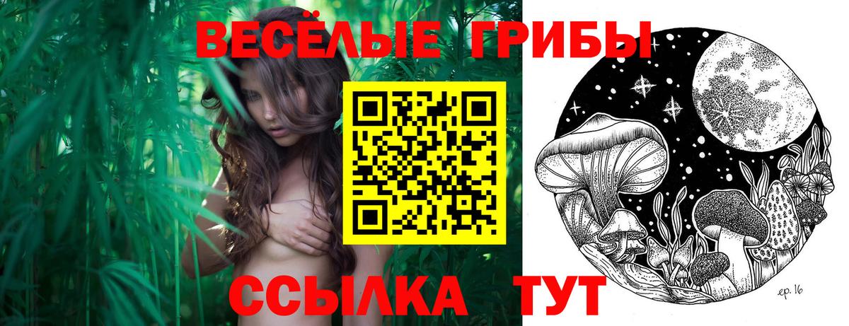 Псилоцибиновые грибы мухоморы Благодарный