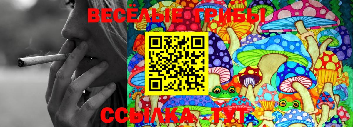 наркота  Галлюциногенные грибы Psilocybine cubensis  Вход с VPN  Благодарный 